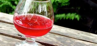 4 công thức đơn giản để làm rượu vang từ quả mọng tại nhà