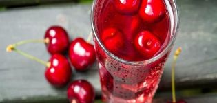 11 trinvise opskrifter til fremstilling af kirsebærforberedelser til vinteren