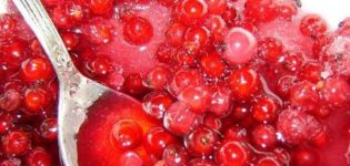 TOP 3 Rezepte für die Zubereitung von Marmelade mit roten Johannisbeeren für den Winter ohne Kochen