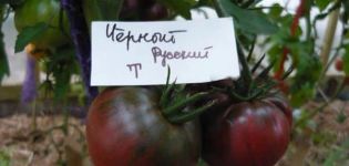 Popis odrůdy, výnosu a pěstování rajčat černého Ruska