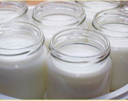 İnek sütü neden yoğurtta ekşi olmuyor, nedenleri ve ne yapmalı?