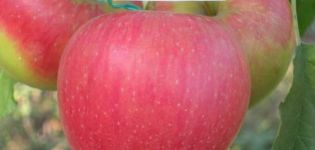 Az Apple Pinova fajta leírása és jellemzői, termesztés különböző régiókban