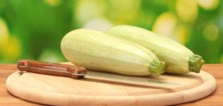 TOP 4 Rezepte für die Zubereitung von Zucchini-Rohlingen für Brötchen für den Winter