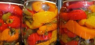 TOP 4 opskrifter til fremstilling af sød peber til vinteren
