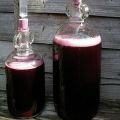 TOP 6 recipes for making wine from grape juice and how to make it at home