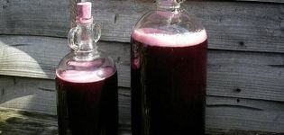 TOP 6 receptes vīna pagatavošanai no vīnogu sulas un kā to pagatavot mājās