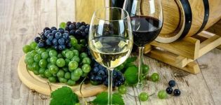Ako vyrobiť suché víno doma, najlepšie recepty