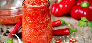 11 najlepších receptov na varenie paradajok adjika na zimu doma