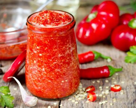 11 migliori ricette per cucinare l'adika di pomodoro per l'inverno a casa