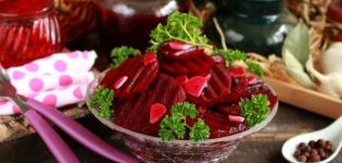 Nangungunang 10 mga recipe para sa pagluluto ng sauerkraut para sa taglamig sa bahay