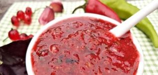 6 bästa recept för att göra röda vinbär adjika för vintern