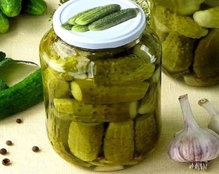 5 beste recepten voor ingelegde komkommer zonder toegevoegde suiker