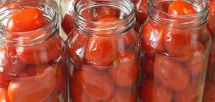 Evde kışın domates pişirmek için en iyi 14 tarif