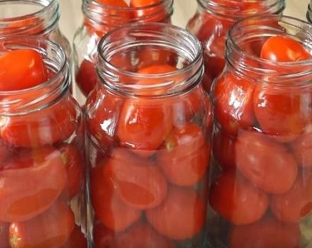 14 beste recepten voor het thuis koken van tomaten voor de winter
