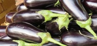 Beskrivelse af almaz-aubergine-sorten, funktioner i dyrkning og pleje