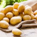 The benefits and harms of potatoes for human health