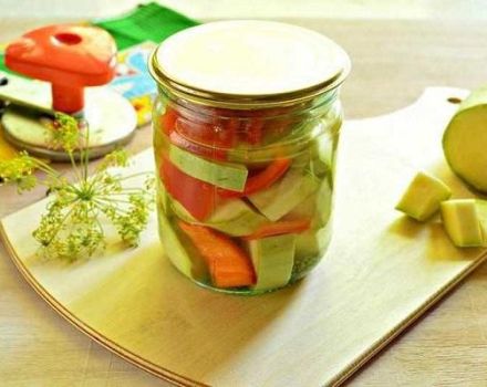 4 recepten voor ingeblikte courgette met paprika voor de winter thuis