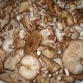 A simple recipe for salting honey agarics for the winter in banks