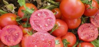 Opis odmiany pomidora Uno Rosso, jej właściwości i plonu