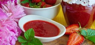 12 rețete pentru prepararea căpșunilor piure cu zahăr pentru iarnă
