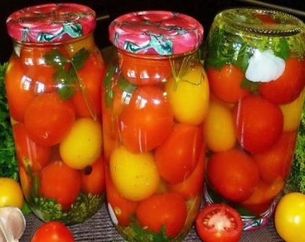 Die besten Rezepte für gesalzene Tomaten auf heiße Weise für den Winter
