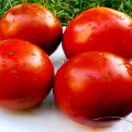 Pomidorų veislės Charakteristikos ir aprašymas Paul Robson