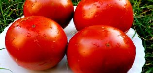 Pomidorų veislės Charakteristikos ir aprašymas Paul Robson
