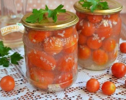 TOP 6 gardās receptes konservētiem tomātiem ar ķiplokiem ziemai