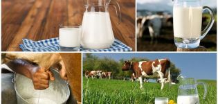 Jaké je normální procento tuku v domácím kravském mléce a na čem závisí