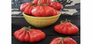 Descripción de la variedad de tomate Louis 17, características de cultivo y cuidado.
