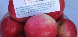Beskrivning och egenskaper för Solnyshko äppelträd, planterings- och vårdregler
