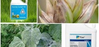 Zusammensetzung und Gebrauchsanweisung des Fungizids Bumper Super, Analoga und Testberichte
