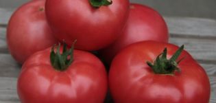 Kenmerken en beschrijving van de tomatenvariëteit Kibo, de opbrengst