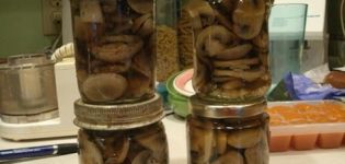 Recepten voor het zouten van piepende champignons voor de winter in potten op een warme en koude manier