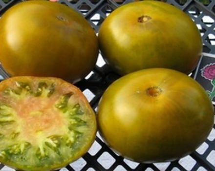 Pomidorų veislės „Pelkė“ charakteristikos ir aprašymas, derlius
