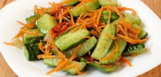 TOP 12 opskrifter til madlavning af krydret agurk snacks til vinteren