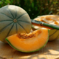 Cantaloupe (Musk) melones šķirnes, tās veidu un īpašību apraksts