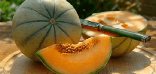 Beschrijving van de meloenvariëteit Cantaloupe (Musk), de soorten en kenmerken