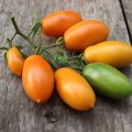 Kenmerken en beschrijving van de variëteit aan tomaten Banaan rood, geel, roze en bont, opbrengst