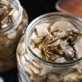 TOP 10 skaniausių receptų, kaip namuose gaminti marinuoti austrių grybai