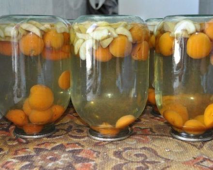 Krok za krokem recept na výrobu jablek a meruňkových kompotů na zimu