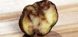 Tecken, behandling och förebyggande av potatiscancer