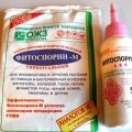 Instructions for the use of Fitosporin against grape diseases, dosage and treatment