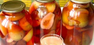 Een eenvoudig recept voor appel- en perencompote voor de winter