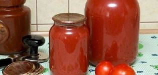 Evde kış için en iyi 10 domates suyu tarifleri
