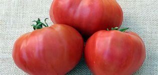 Charakterystyka i opis odmiany pomidora Kosowo