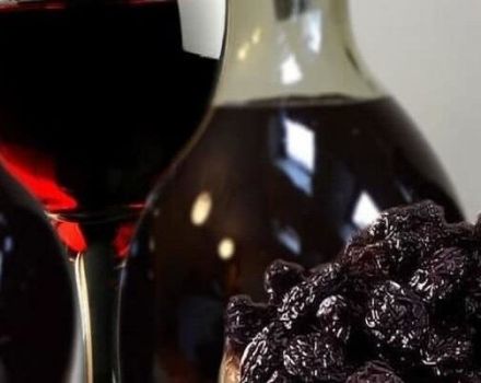 4 helppoa reseptiä kuivatun viinin valmistamiseksi kotona