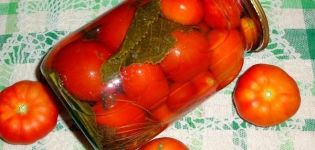16 Rezepte zum Einlegen von Tomaten ohne Essig für den Winter