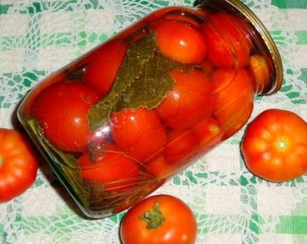 16 reseptiä tomaattien peittaamiseksi ilman etikkaa talveksi