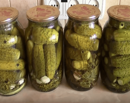 TOP 12 delicious step-by-step recipes for pickling cucumbers for the winter